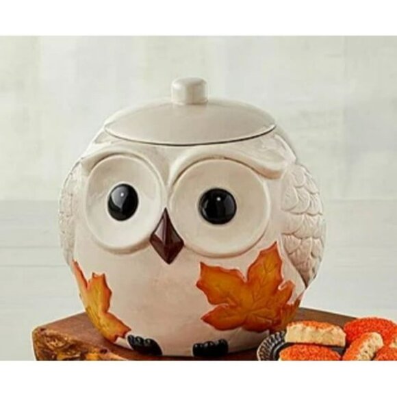 Other - Harry & David | Fall Owl Cookie Jar